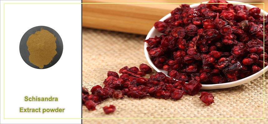 product-1-1 Schisandra Extract powder raw material display