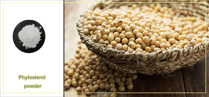 Phytosterol powder raw material display Phytosterol powder raw material display