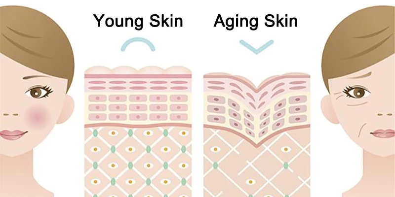 sepiwhite msh powder Anti-Aging