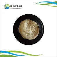 Powdr echdynnu breviscapus breviscapine