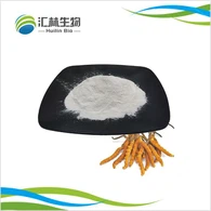 Powdr polysacarid cordyceps